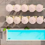 Sol House The Studio - Calvia Beach - Adults Only