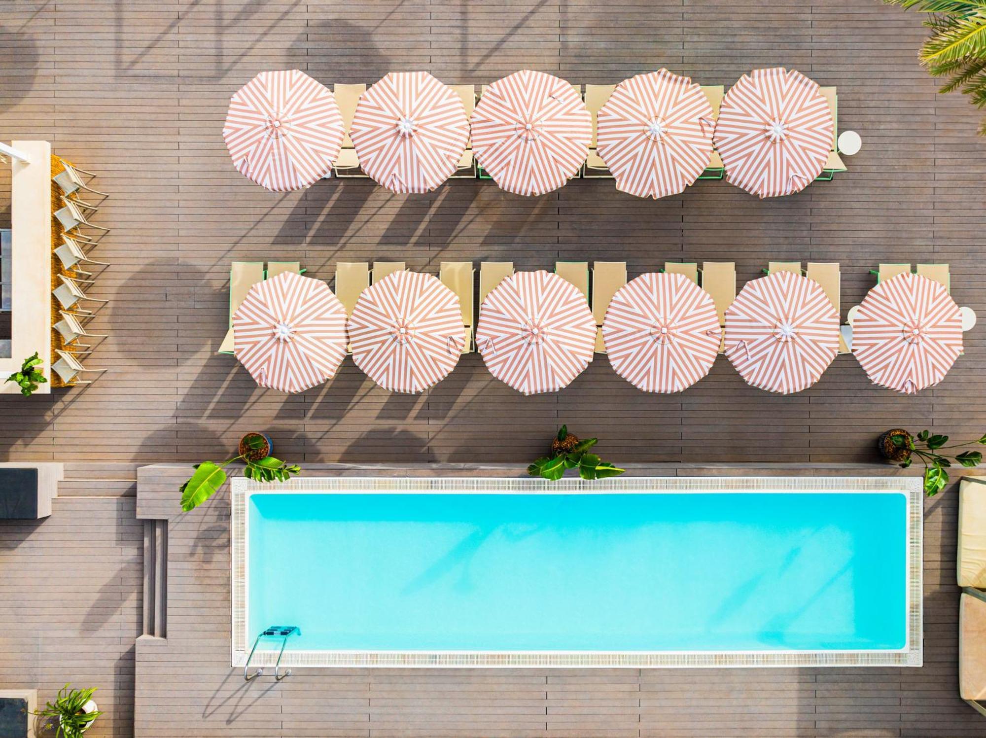 Hotel Sol House The - Calvia - Adults Only 4*